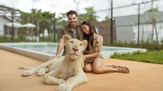 Parque de Leones de Phuket: acariciar leones|Nuevo lugar de moda para interacción familiar