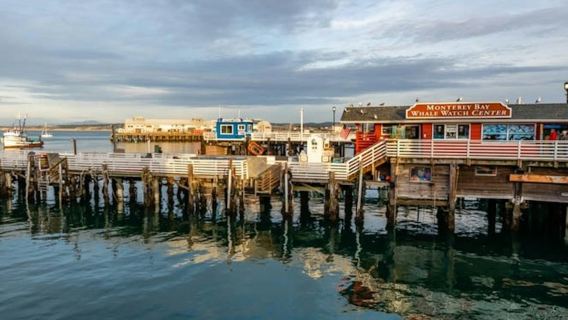 From San Francisco: Full Day Monterey and Carmel Tour