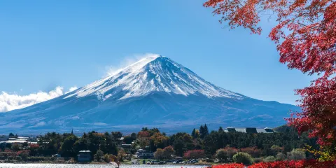 日本東京/周邊包車【鎌倉/橫濱/伊豆/箱根/輕井澤/日光】