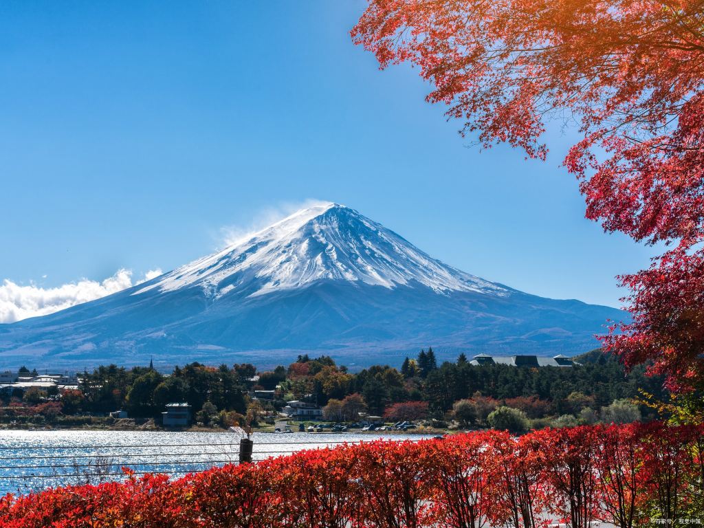 日本東京/周邊包車【鎌倉/橫濱/伊豆/箱根/輕井澤/日光】