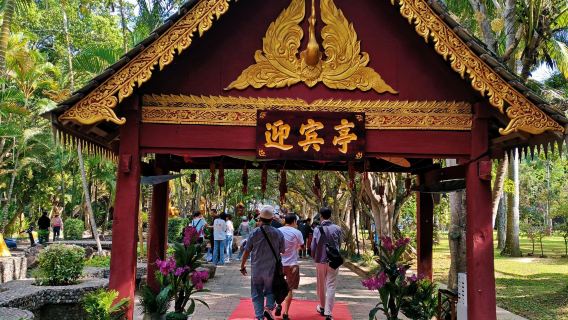 однодневный тур в Сешуан-Чунг Нань Цзян Цзян + тропический ботанический сад + культурно-туристический район Мэнлэ с услугами на китайском и английском языках