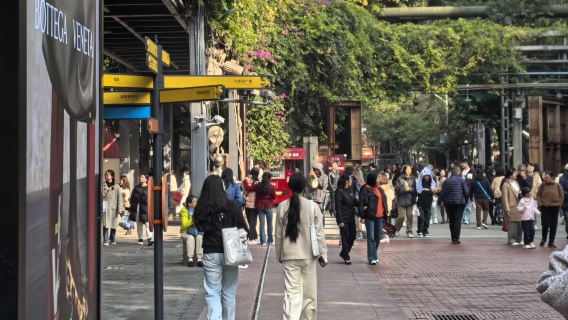 สวนศิลปะเทียนฟู่เฉิงตู + ความทรงจำตงเจียว + ทัวร์ส่วนตัวหนึ่งวันในจินหลี่