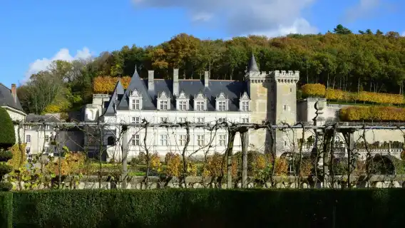 Entrance ticket to Château de Villandry and gardens