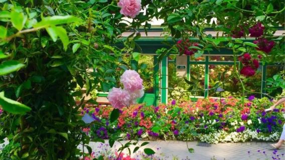 加拿大維多利亞唐人街+布查德花園一日遊/行程可調-悅享旅途