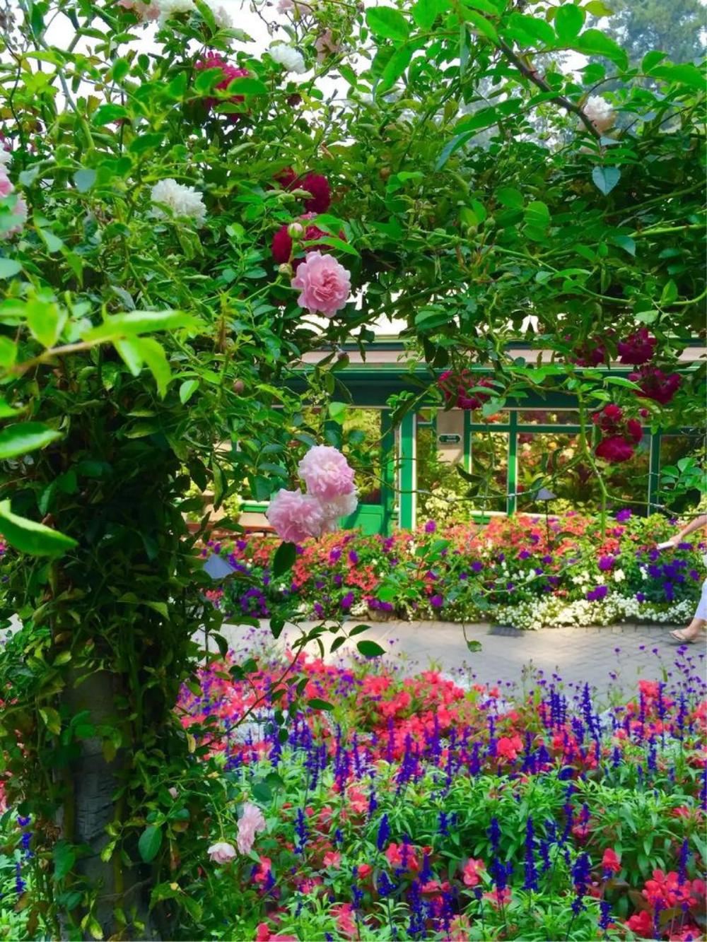 加拿大維多利亞唐人街+布查德花園一日遊/行程可調-悅享旅途