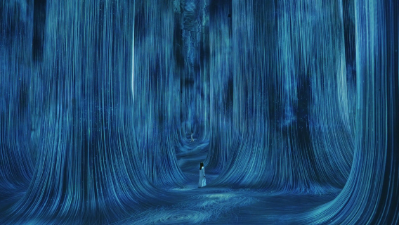 Teamlab ปรากฏการณ์อาบูดาบี