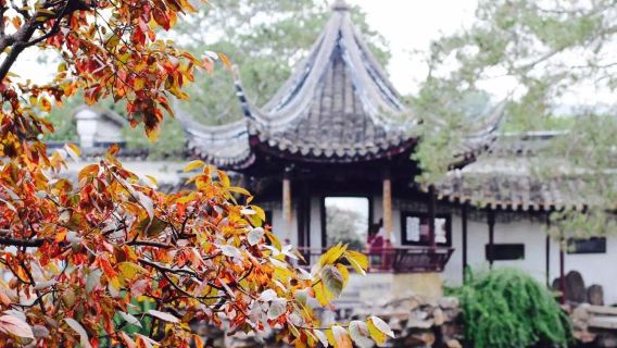 Vé vào cổng Vườn Sư Tử Lâm tại Tô Châu: Đặt chỗ trực tuyến dễ dàng