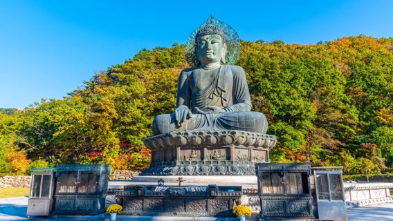 Mt. Seorak + Naksansa Temple One Day Tour (From Seoul Hongdae/Myeongdong/Dongdaemun)