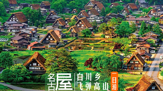 金澤日遊