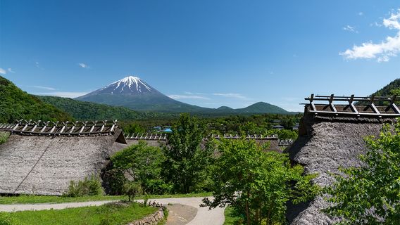 富士河口湖町日遊