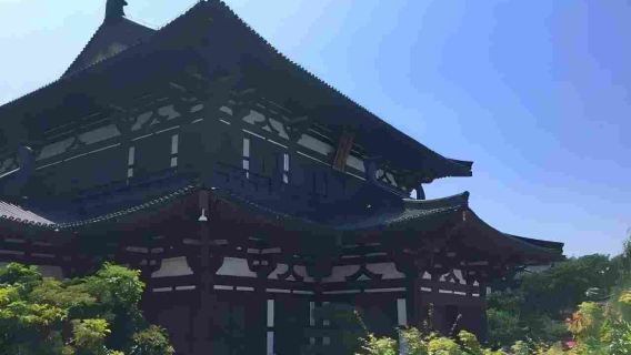 Viaggio tra Storia e Meraviglie a Xi'an