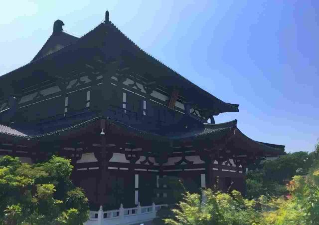 Viaggio tra Storia e Meraviglie a Xi'an