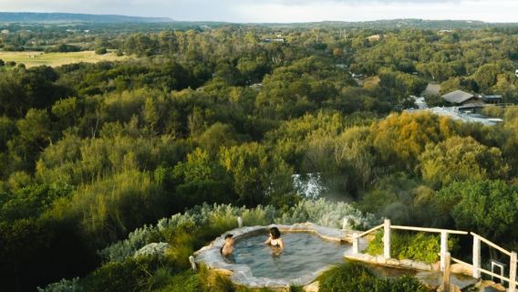 MorningtonTours