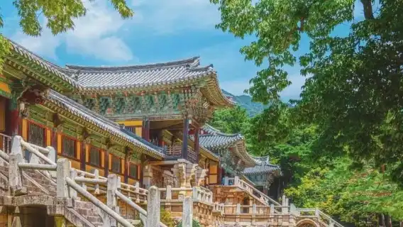 慶州一日遊 釜山出發 [2025 石窟庵特別版]