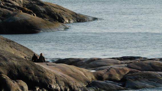 Helsinki: Recorrido guiado en lancha semirrígida por la ciudad y las islas periféricas