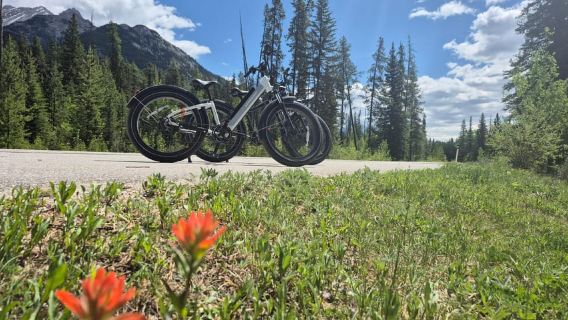 Tur Sepeda E-Fat Pemandangan Terbaik Banff – Semua Tingkat Keterampilan
