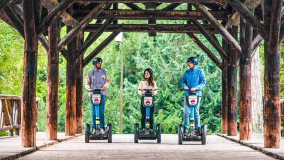 Lyon: Recorrido en Segway por la ciudad con un guía local
