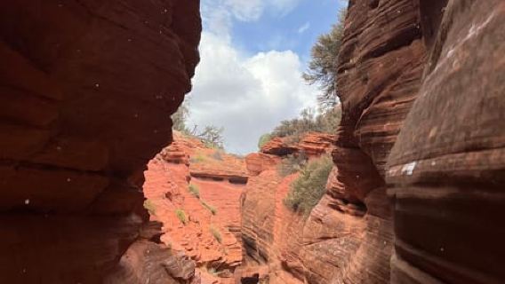 Канаб: каньон Пикабу-Слот и экскурсия в Большую камеру/поход с гидом