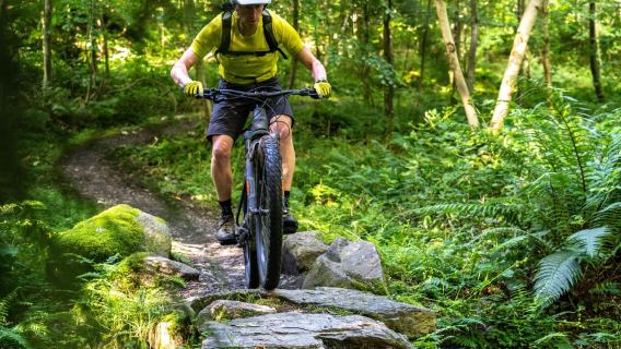 Castlewellan:Electric Mountain Biking Experience
