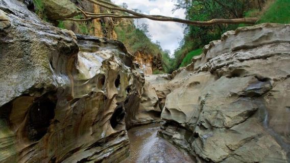Nairobi: Hell's Gate National Park and Lake Naivasha Tour