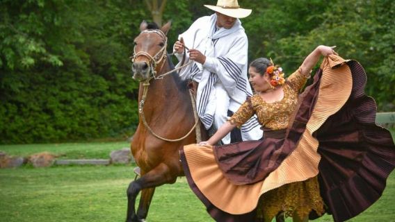 Trujillo : Marinera show with Peruvian Paso Horses