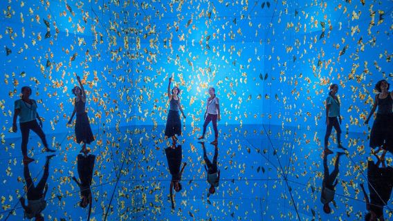 Ciudad de México: boleto de entrada a Mystika Inmersivo