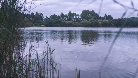 Tour in bici elettrica della costa atlantica e del Museo del vetro