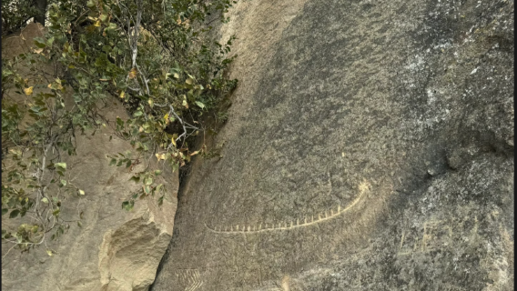 Mosquée Bibi de Bakou + Pétroglyphes de Gobustan + Montagne de Feu + Temple du Feu + Volcans de boue