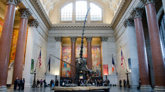 紐約中央公園+自然歷史博物館+杜莎夫人+華爾街+自由女神像