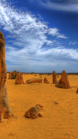Australia The Pinnacles Desert sunset stargazing tour [includes city transfers + dinner with drinks]