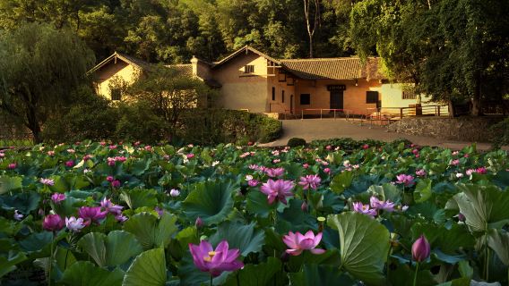 韶山毛澤東故居+紀念館等核心景點一日遊（含門票+導遊講解）