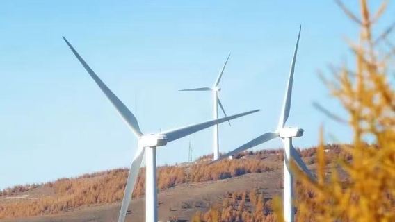 麻田嶺秋色健行1日【10公里初級健行體驗】