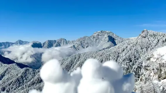 시링쉐산(서령설산) 당일 치기 여행|청두에서 시링쉐산(서령설산)까지 차량 대여 및 카셰어링