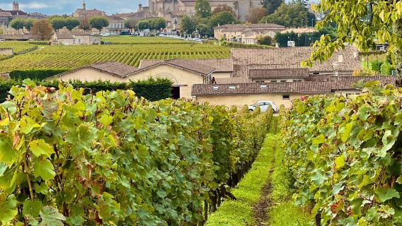 1-day private charter to Chateau Lafite Rothschild + Cheval Blanc + Latour + Dune of Pilat + Margaux + Mouton in Bordeaux, France
