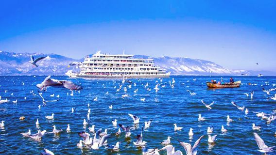 【暢遊洱海】大理洱海大遊船（贈扎染體驗）