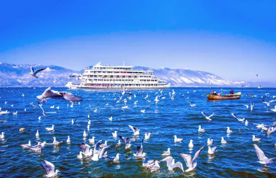 【暢遊洱海】大理洱海大遊船(贈扎染體驗)