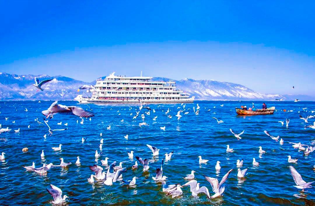 【暢遊洱海】大理洱海大遊船（贈扎染體驗）