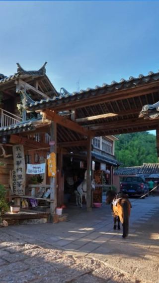 【2-8人純玩拼小團】普洱那柯里村+中華普洱茶博覽苑一日遊