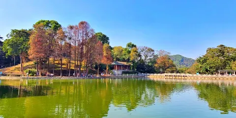 廣州博物館或黃埔軍校+陳家祠+白雲山一日遊【私家團上門接送】