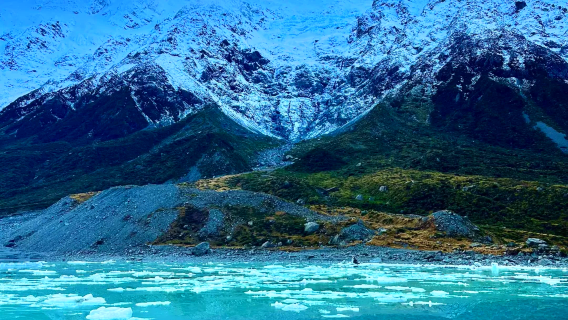 紐西蘭普卡基湖+庫克山一日遊