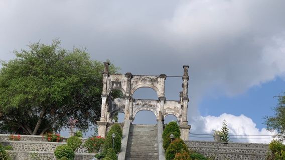 6시간 6인승 한국어 가능 드라이버