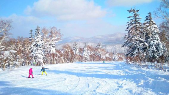 Privater Skikurs mit chinesisch/englischsprachigem Skilehrer im Sapporo Kokusai Skigebiet, Hokkaido