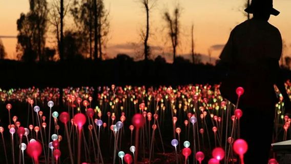Field of Light Ουλούρου: Τουρ Ανατολής Ηλίου με Ζεστά Ποτά