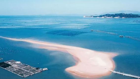 東山島一日遊【6人小團可選丨純玩丨《左耳》取景地+可訂製】