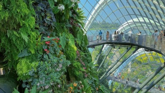 Singapore Day Tour: Visit Botanic Gardens + National Museum + National Gallery