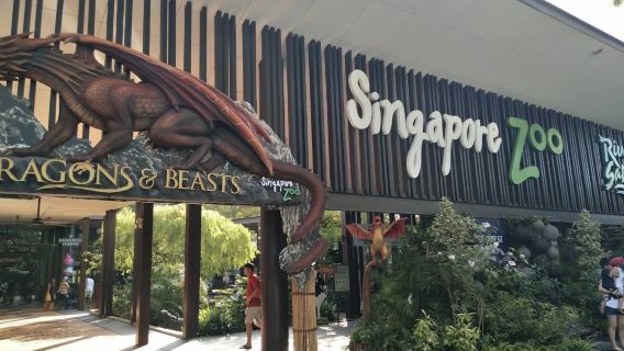 新加坡親子包車｜動物園+河川生態園+夜間野生動物園深度體驗