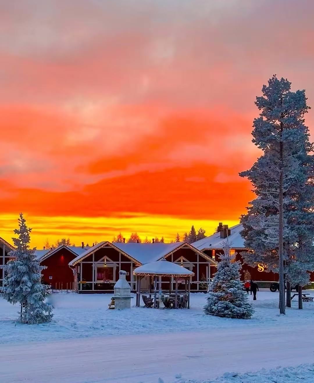 Aventura navideña en Rovaniemi, Finlandia | Excursión de un día al Círculo Polar Ártico y al Pueblo de Santa Claus con servicio de coche privado con conductor