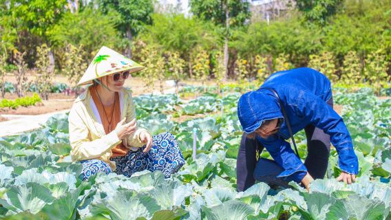 Tagesausflug Memento Countryside – Hoang Tram Adlerholz – Dorf Lang Nho|aus Nha Trang, Vie