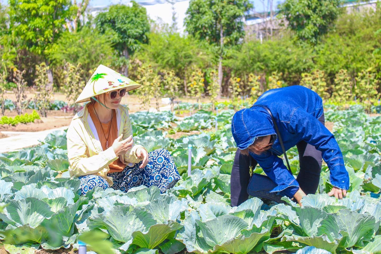 Tour Giornaliero Memento Countryside – Hoang Tram Agarwood – Villaggio di Lang Nho|da Nha Trang, Vietnam