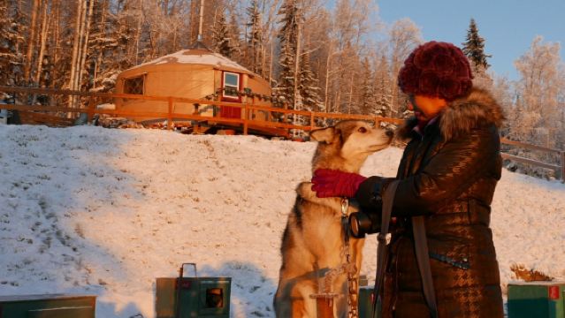費爾班克斯狗拉雪橇體驗之旅